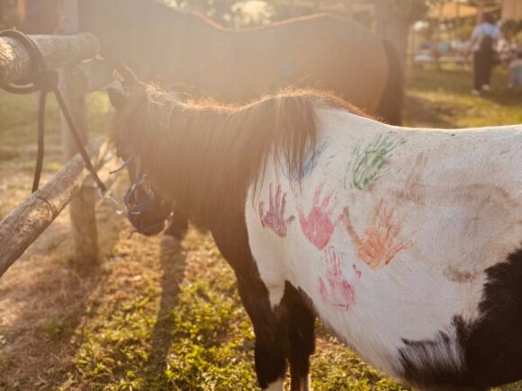 WhatsApp Image 2025-09-26 at 12.00.12