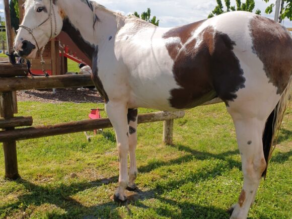 WhatsApp Image 2025-09-26 at 12.03.06